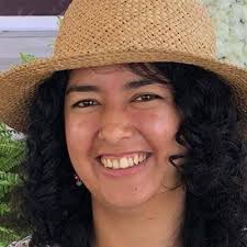 Subantarctic forests