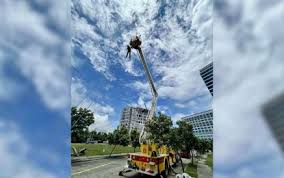 Philippine News Agency - News update