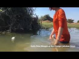 Gadis tipu ibu main bola jaring. Gadis Desa Seksi Nangkap Ikan Di Sungai Youtube