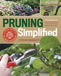 Pruning reduces the number of. Pruning Simplified A Step By Step Guide To 50 Popular Trees And Shrubs Bradley Steven 9781604698886 Amazon Com Books