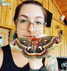 What moths are attracted to porch lamps?