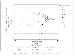 Image result for Chascanum adenostachyum