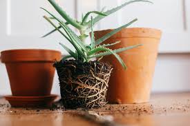 So how can you take advantage of cool looking ceramic pots. How To Keep Flower Pots With Drainage Holes From Making A Mess