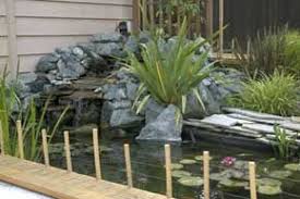 We did not find results for: The Runnerduck Garden Projects A Place To Find All Types Of Woodworking Projects For Your Garden Fence Planning Electric Fence Fish Pond Gardens