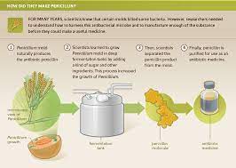 Used as an antibiotic, over 200,000,000 lives have been saved. How Did They Make Penicillin