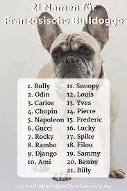 21 namen fur franzosische bulldogge rude dogco de hundenamen franzosische bulldogge bulldoggen welpen