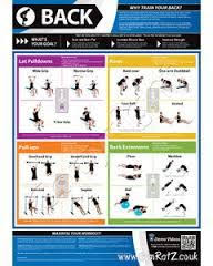 image result for iron gym pull up bar workout chart back