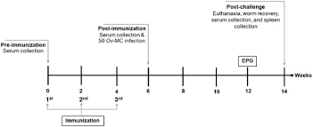Buah untuk kesehatan june 21, 2021. Partial Protection With A Chimeric Tetraspanin Leucine Aminopeptidase Subunit Vaccine Against Opisthorchis Viverrini Infection In Hamsters Sciencedirect