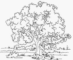 Ausmalbilder Malvorlagen Baum Kostenlos Zum Ausdrucken Marchen Aus Aller Welt Der Bruder Grimm Von Andersen Malbuch Vorlagen Malvorlagen Baume Zeichnen