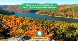 One of the things we do very well, one. Allegheny National Forest What Goes On Behind The Scenes Www Gp Org