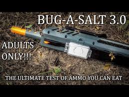 Here is a quick demo of the new #bugasalt 3.0 versus the wasp. Bug A Salt 3 0 Amazon 08 2021