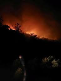 Haber milas son dakika milas haberleri ve güçlü kalemleri ile şehrin nabzını tutuyor. P9bdlwiq49vxm