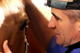 THE REAL TOOTH FAIRIES