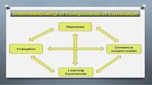 Image result for what consists in a course curriculum