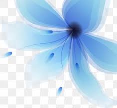 This makes it suitable for many types of projects. Sky Blue Flower Clip Art Png 650x662px Blue Animation Birthday Blog Color Download Free