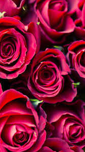 Some of the technologies we use are necessary for critical functions like security and site integrity, account authentication, security and privacy preferences, internal site usage and maintenance data, and to make the site work correctly for browsing and transactions. Pink Valentines Wallpapers Wallpaper Cave
