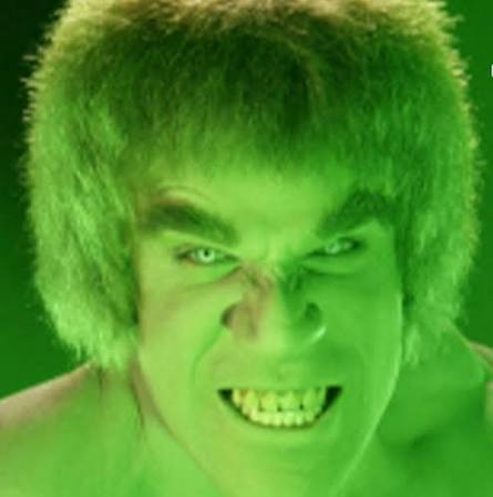 Meet The Incredible Hulk | West Orange Times & Observer