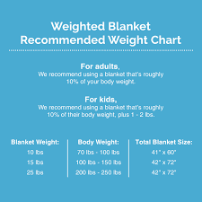 Details About Mindful Design Adult Weighted Sensory Blanket W Minky Cover