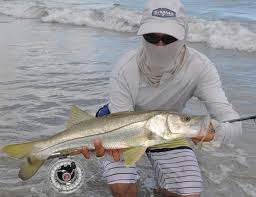 Aug 14, 2015 · mangrove shore lines and other heavy cover areas the most effective method of catching snook in heavy cover areas is to pitch a live bait or lure into areas known to hold fish. 10 Tips For Catching Snook In The Surf