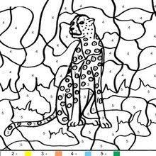 Cheetah coloring pages is free hd wallpaper. Tiger Color By Number Coloring Page In 2021 Tiger Coloring Coloring Pages Tiger Coloring Page