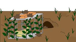 Sodium hydroxide is created using a chemical reaction between soda, or sodium carbonate, and calcium hydroxide, or lime. 4 Ways To Get Rid Of Groundhogs Wikihow