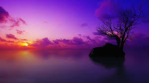 154 purple wallpapers for phones. Best 31 Purple Sunset Desktop Background On Hipwallpaper Beautiful Widescreen Desktop Wallpaper Desktop Wallpaper And Naruto Desktop Backgrounds