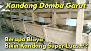 Bambu merupakan bahan material yang sangat mudah diolah dan dikreasikan menjadi kerajinan tangan yang unik bambu sendiri merupakan satu dari sekian tanaman yang sangat mudah dijumpai di negeri kita ini. Domba Garut Ukuran Kandang Domba Super Besar Youtube