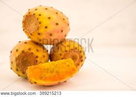 An easy indoor plant.,cactus melon (melocactus intortus), tête à l'anglais.,melon cactus with red cephalium north of kralendijk.,melocactus broadwayi and more. Edible Cactus Images Illustrations Vectors Free Bigstock