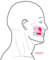 Pin On Acupressure Points
