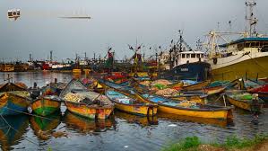 Its All Fishy In Vizag Fishing Harbour Pikturenama Visakhapatnam India Travel Harbour