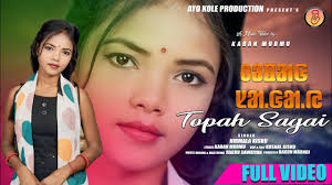 HALE DALE/AMAN/PORAYNI/ANIL MAJHI/LUGU MARNDI/G2STUDIO/SANTALI/NEW SANTALI  VIDEO SONG 2024