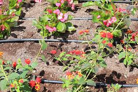 We did not find results for: Goutte A Goutte Gamm Vert