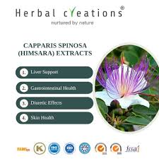 Image result for Capparis citrifolia