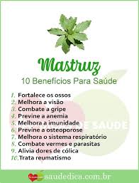 Cha De Canela De Velho Beneficios E Maleficios Os 10 Beneficios Do Mastruz Para Saude Quick Cardio Workout Medicinal Tea Keto Diet For Beginners