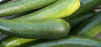 Does zucchini turn brown after cutting? 3 Common Squash Problems And How To Solve Them