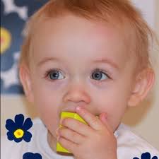 Anne Schöller (@annescholler)