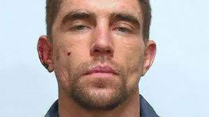 Florida tree trimmer killed falling head first into wood chipper in horror  accident near city hall