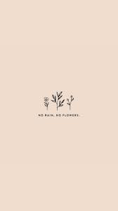 Sideblog of shortcats , for things with flowers on em. View 26 Tumblr Aesthetic Floral Background