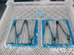 We did not find results for: China Frozen Goby Fish Fiilet Skin On Haze Hiraki Chinese Goby Goby Fillet