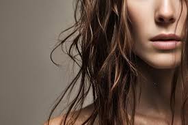 Whole Home Water Filtration System