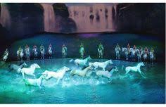 15 Best Pins From Cavalia Images Horses Show Horses