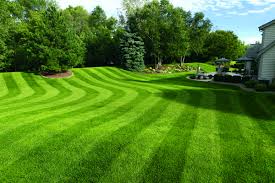 Lawn Striping How To Mow Ballpark Grass Patterns In Your Yard Lawn Striping Lawn And Landscape Grass Pattern