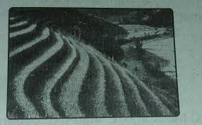 Paling penting adalah anda harus memahami benar bagaimana perilaku drone. 6 Gambar Di Atas Menunjukkan Sistem Pengairansawah Di A Lampungb Jawa Tengahc Balid Sumatra Brainly Co Id
