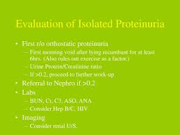 Image result for Isolated Proteinuria