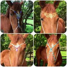 Für lina waren pferde bereits seit ihrer kindheit ein wichtiger bestandteil ihres lebens und schon sehr früh fing sie an, zubehör für pferde selber herzustellen. Kopfschmuck Fur Pferde Von Der Schmuckschmiede Steffens Pferdefreunde Beiswangs Webseite
