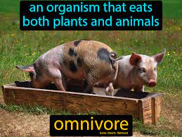 Omnivore Science Student Science Memes Science Nerd