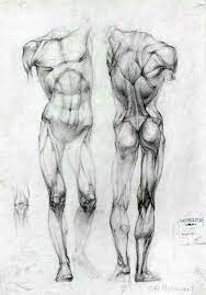 The artist's guide to the dynamics of figure drawing. Pin By Luna Scamender On Louis Anatomy Sketches Anatomy Drawing Human Anatomy Drawing