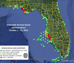 florida researchers expect red tide but thats normal