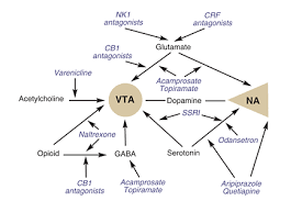 We did not find results for: Niaaa Publications