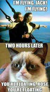 Grumpy Cat Funny Grumpy Cat Memes Funny Cat Memes Funny Animal Jokes